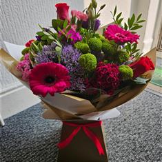 Fuchsia Jubilee