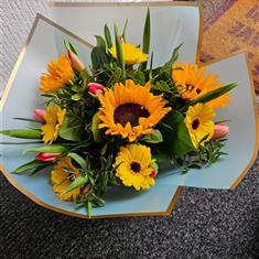 Tulip Sunburst