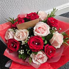 Scarlet &amp; Blush Dozen