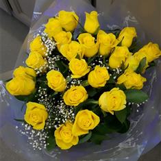 Yellow Rose Cheer
