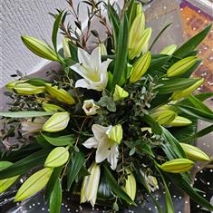 Ivory Lilies