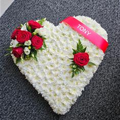 Solid Based Hearts