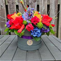A Hat Box Delight