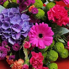 Florist Choice - Vibrant