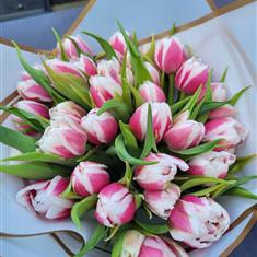 Tulip Gift Bouquet