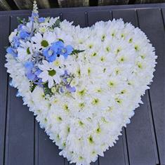 Small Child Heart Tribute