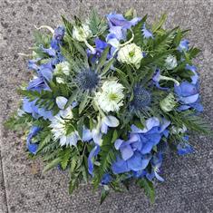 Blue Posy