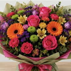 Vibrant Mix - Premium