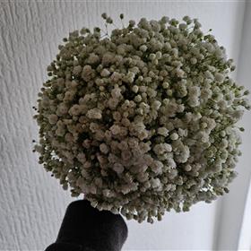 fwthumb20240427_105204.jpg